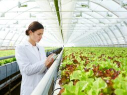 Revolutionizing Agriculture How Technology is Transforming Modern Farming