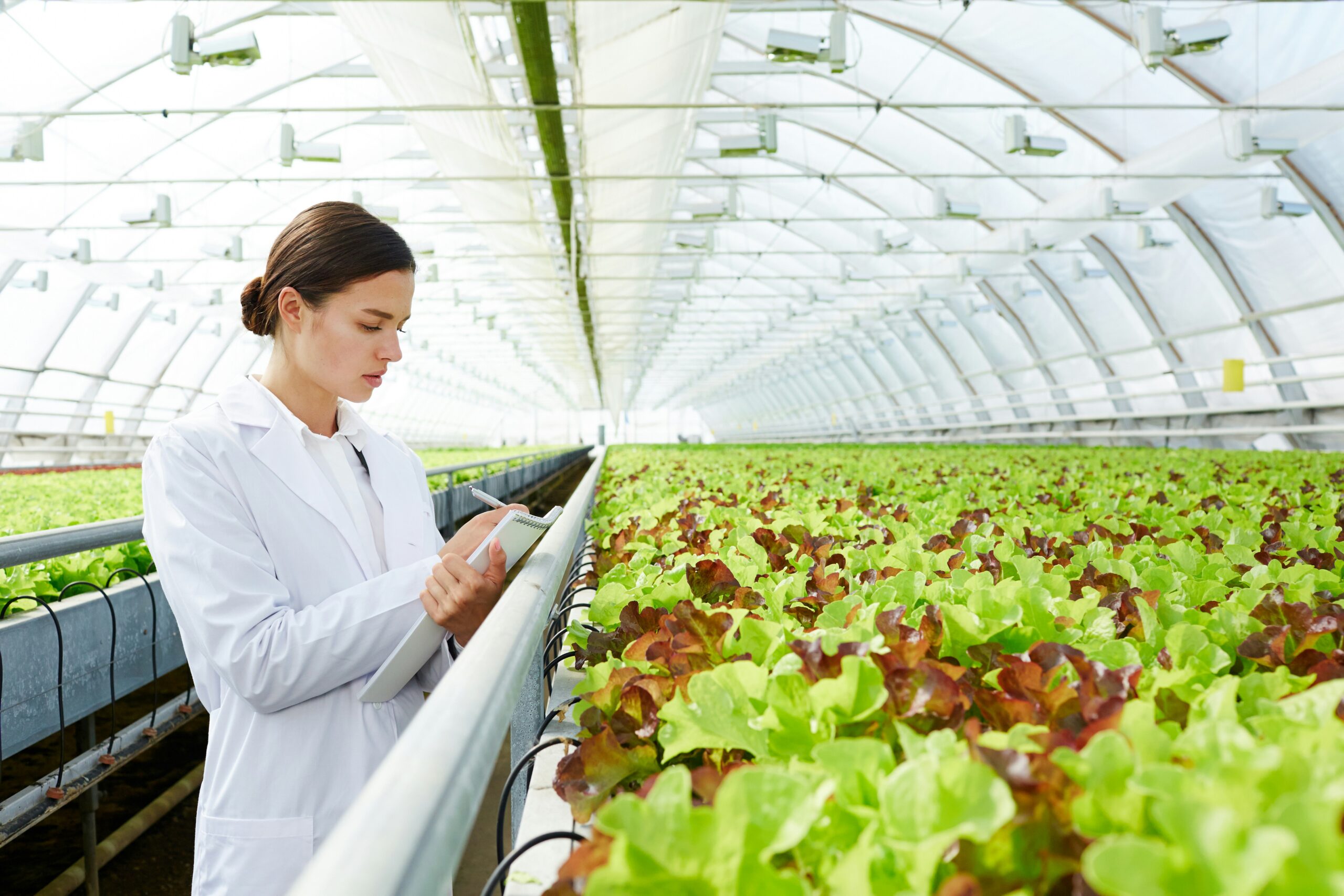 Revolutionizing Agriculture How Technology is Transforming Modern Farming