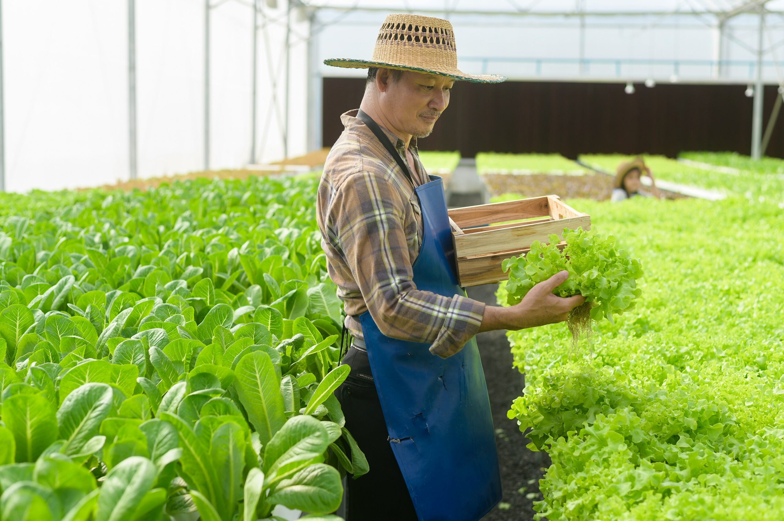 Transforming Agriculture Businesses Key Strategic Management Practices for Success