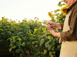 Reaping the Future How Technology is Revolutionizing Modern Farming Practices