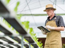 Unveiling the Key Strategic Management Practices Transforming Agriculture Businesses